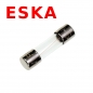 Feinsicherungen 5x20mm, flink 160mA, 250V, 10er Pack